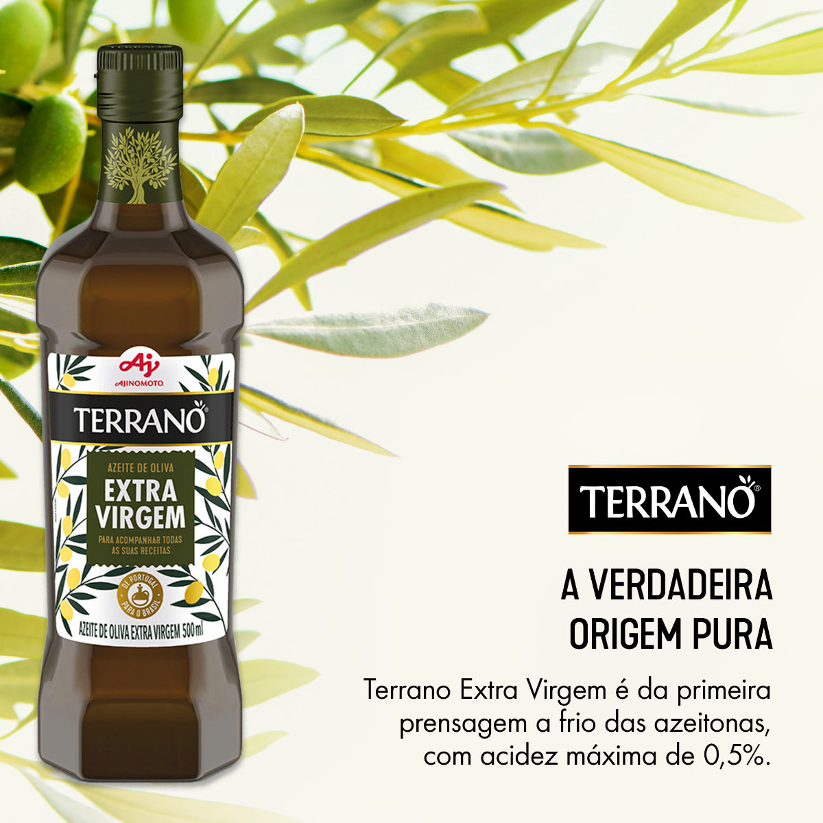 KIT AZEITE TERRANO® EXTRA VIRGEM 500ml - 3 UNIDADES