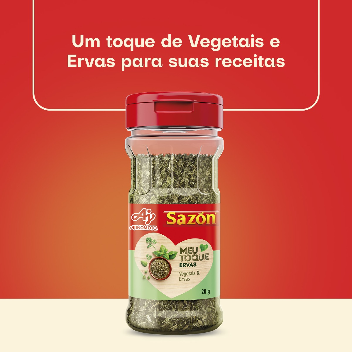 TEMPERO SAZÓN® MEU TOQUE ERVAS 20G