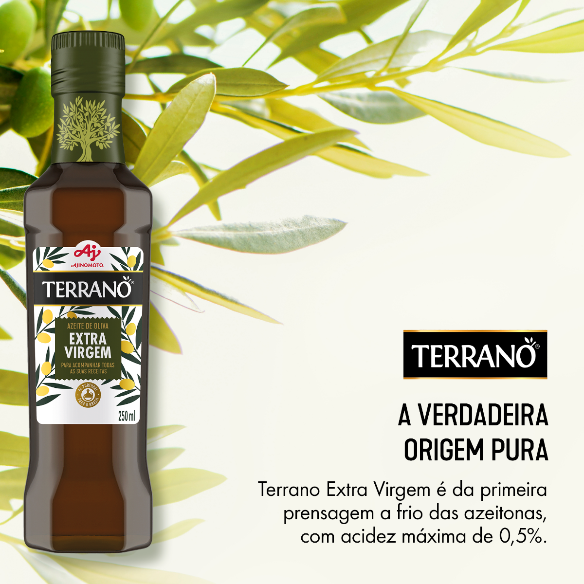 KIT AZEITE TERRANO® EXTRA VIRGEM 250 ml - 3 UNIDADES