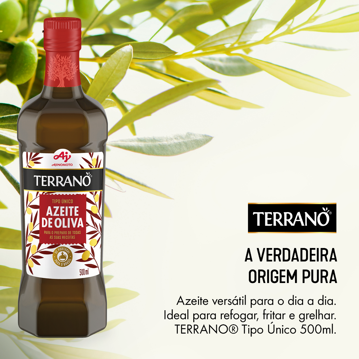 AZEITE DE OLIVA TIPO ÚNICO TERRANO® 500ML