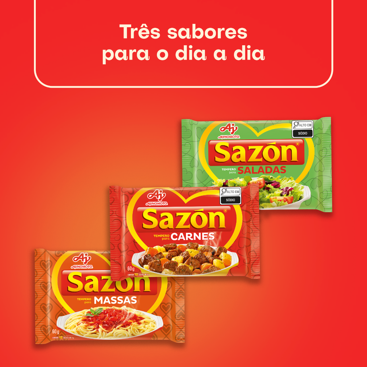 KIT FAMÍLIA SAZÓN® – SABORES PARA TODO DIA